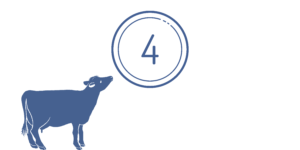 A navy blue cartoon cow looks up at a 4 in a circle.