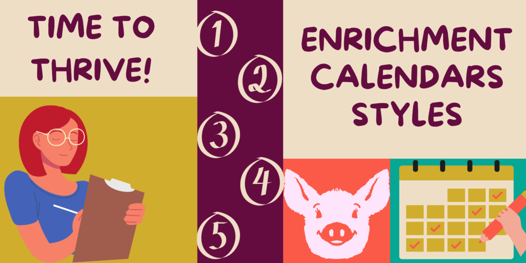A colorful banner contain differently colored squares and rectangles in shapes of purple, yellow, orange, green, and white. A cartoon person with shoulder length hair and glasses writes on a clip board and a calendar is shown in another corner, as well as a string of numbers 1-5 and a smiling pig. The words "Time To Thrive: Enrichment Calendar Styles"
