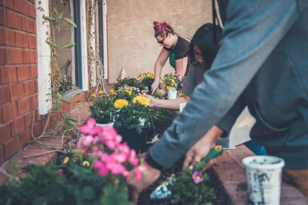 Photograph of a group of people planting flowers in a garden bed.