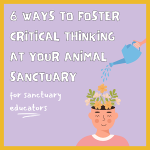 The background of this image is lavender with a yellow border. There is text on the left side of the graphic that says "six ways to foster critical thinking at your animal sanctuary for sanctuary educators". On the right side of the graphic there is an illustration of a blue watering can that is sprinkling water over an illustration of a person who has flowers growing out of the top of their head. They are wearing a salmon-colored shirt with a white collar.