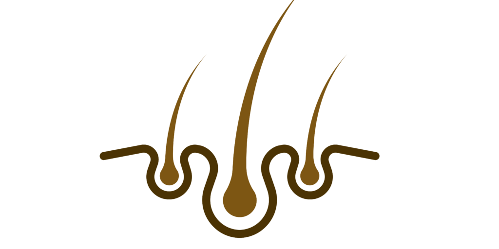 A dark brown squiggle line represents a horse's skink and three lighter brown lines rising from the "skin" represent hair.