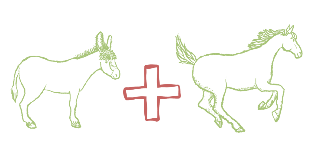 This graphic depicts a green outline cartoon donkey, a red plus sign, and a green horse cartoon outline. Donkey plus Horse. 