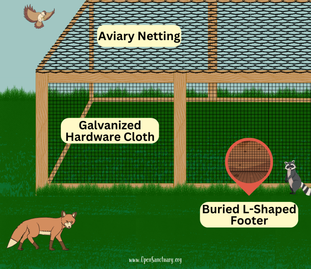 Predator Proof Predator-Proofing For Bird Residents At Your Sanctuary - The Open ...