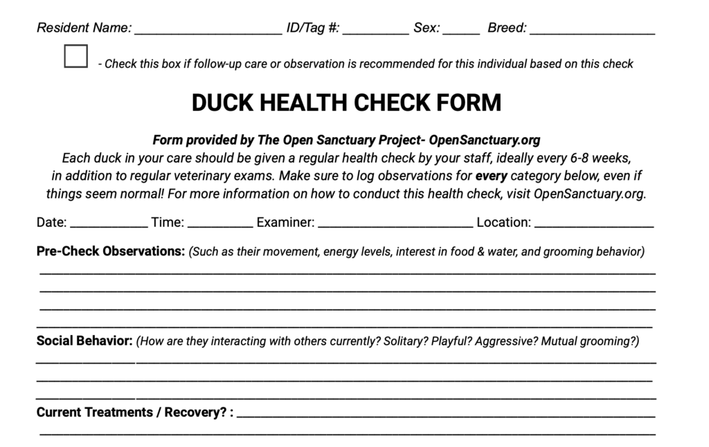 Sample of the duck health check form