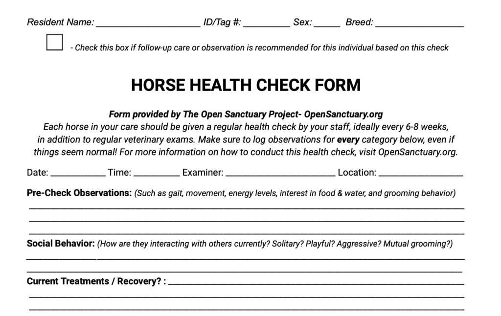 A sample of the horse health check form