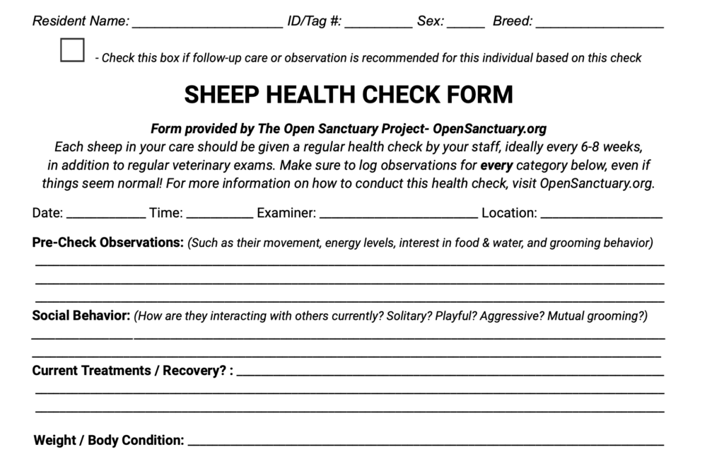 Sample of the sheep health check form