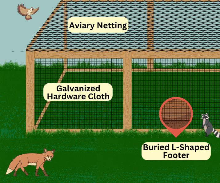 This image shows a  bird run built of wood frames that are lined with galvanized hardware cloth, which is labelled. This is to prevent incursions from a raccoon and a fox who are pictured. 

On top of the run is netting which is affixed to prevent aerieal attacks from a hawk pictured in the background. The netting is also labelled. 

The final label refers to a blown up image that depicts a buried L-shaped footer that is underneath the run, which will help to deter digging attacks. 

