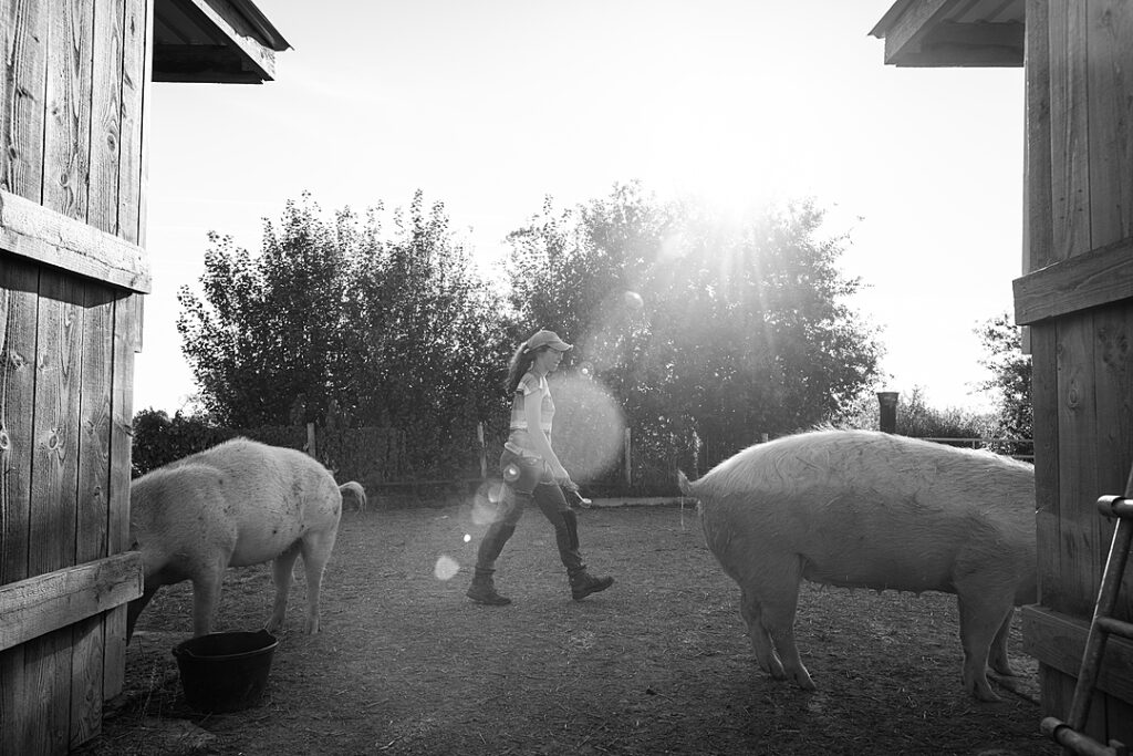 a caregiver holds a scrub brush and walks behind two pigs who are eating.