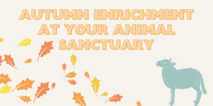 A banner reads "Autumn Enrichment At Your Animal Sanctuary" in yellow and orange text. Below orange and yellow leaves blow past and a blue sheep looks up.