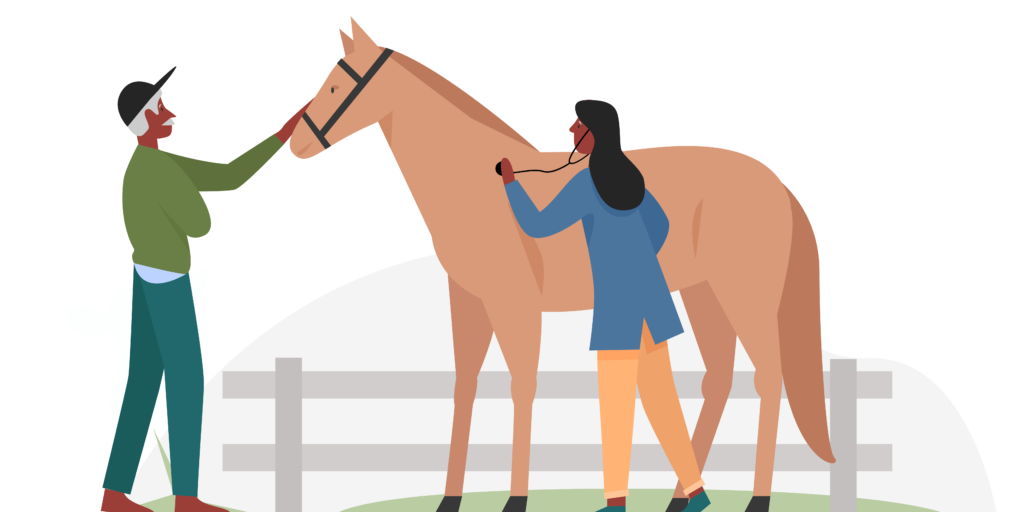A cartoon tan horses wearing a bridle stands in front of a grey fence while a veterinarian wearing a blue coat uses a stethoscope to check their heart rate. A person wearing a dark ball cap and green sweater holds the horses lead rope.