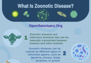 An image of the top of a flyer, which is titled "What Is Zoonotic Disease?""