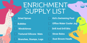"Enrichment Supply List" is written across a bright blue banner. A list of enrichment items and check boxes sit below, such as "dried spice, bubbles, and a kid's pool." On the left and right edges of the banner are animal icons. A bright pink pig, a white llama, and a peach colored chicken are on the left and a lilac colored cow, a bright green parrot, and a yellow racoon are on the right.