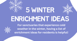 "5 Winter Enrichment Ideas For sanctuaries that experience cold weather in the winter, having a list of enrichment ideas for residents is helpful!" there are snow flakes swirling around the words on a blue background.