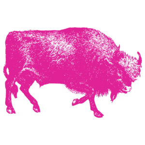 Side view of a magenta bison.