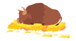 A brown bison sleeps on a pile of straw