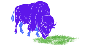 A bright blue graphic of a bison eats green grass.