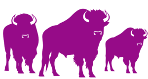Three purple bison of various sizes stare at the viewer.
