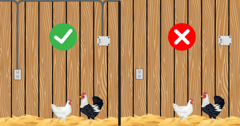 Side-by-side illustrations of the inside of a chicken barn. The illustration on the left shows surface mounted conduit with a green check mark, while the illustration on the left shows that wires are concealed by the wall and has a red X.