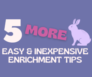 Title is white and reads"5 More Easy And Inexpensive Tips". The background is periwinkle blue and there is a lavender bunny sitting next to the word more which is fuschia