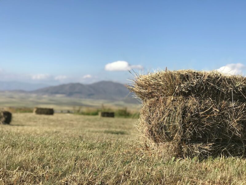 a bale of hay with additional bales of hay in the background