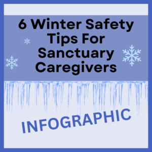 An image with a light purple background, with text reading: 6 Winter Safety Tips For Sanctuary Caregivers Infographic