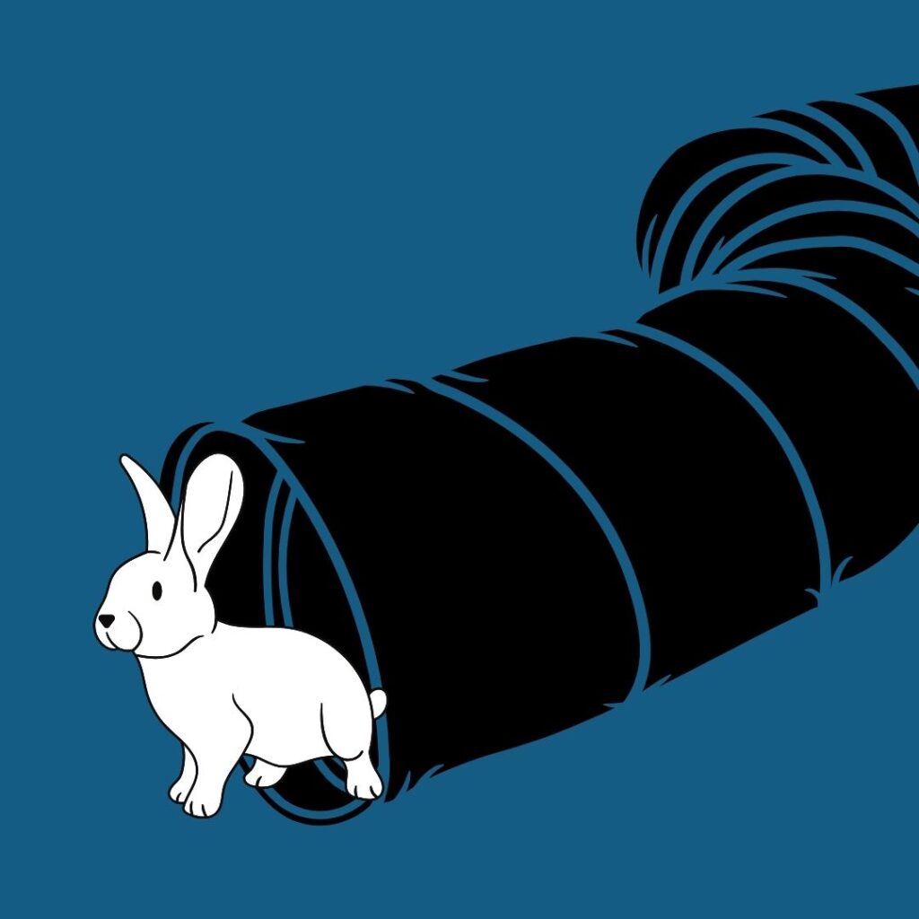 A graphic of a white, alert rabbit standing at the opening of a black play tunnel.