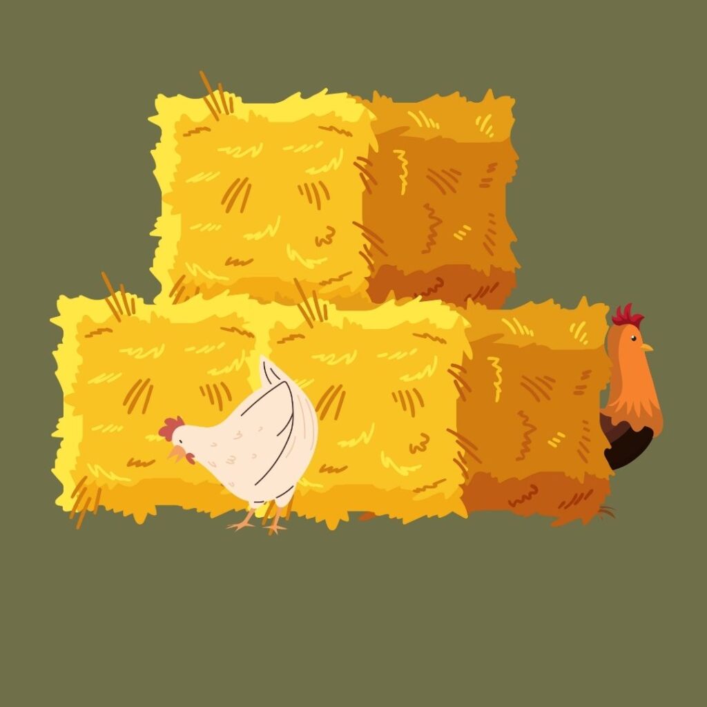 A graphic of a white hen and multicolored rooster stand on separate sides of three straw bales.