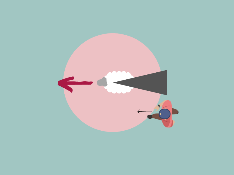Graphic showing a similar aerial view of sheep as the one used to depict flight zone. There is the same pink circle showing flight zone and same black triangle to show blind spot. A human stands behind them and to their left, out of their flight zone and out of their blind spot. An arrow shows the human is walking forward into the sheep's flight zone and a large red arrow shows that will cause the sheep to move forward.