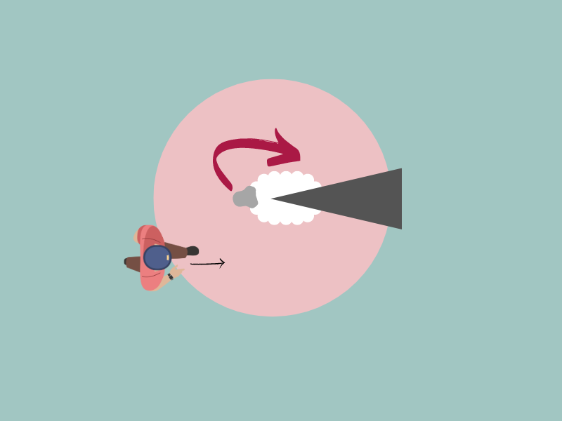 Similar graphic as above, but this time the human is positioned in front of the sheep and to their left. Arrows show that as the human enters their flight zone from this position, the sheep will turn  to their right 180 degrees and move in the opposite direction.