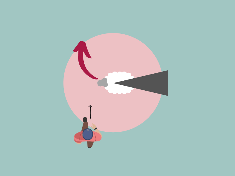 Similar graphic, but this time the human is entering their flight zone from their left side instead of from in front of them. An arrow shows they will turn to their right 90 degrees and move away from the human.