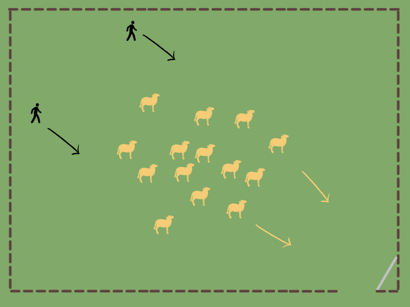 In this graphic, the humans are positioned behind the sheep with arrows indicating that as the humans move forward and toward the gate, the sheep will also move in this direction.