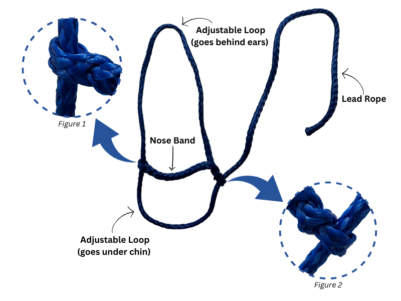 Picture of a halter with parts labeled. A larger loop at the top is labeled "adjustable loop (goes behind ears)." A smaller loop at the bottom is labeled "adjustable loop (goes under chin)." The band separating the two loops is labeled "nose band." A long rope connected to the chin loop is labeled "lead rope." Figure 1 and 2 show small loops the rope slides through, with the loop in figure 2 pointing downward.