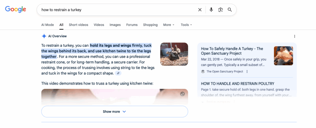 This is a screenshot of a Google search for the query "How To Restrain A Turkey." The AI overview reads "To restrain a turkey you can hold its legs and wings firmly, tuck the wings behind the back, and use kitchen twine to tie the legs together. For a more secure method you can use a professional restraint cone, or for long term handling, a secure carrier. For cooking, the process of trussing involves using string to tie the legs and tuck in the wings for a compact shape. This video demonstrates how to truss a turkey using kitchen twine."
On the right of this AI overview is a link to The Open Sanctuary Project's resource "How To Safely Handle A Turkey" and below that, a ling to an article called "How to handle and restrain poultry."