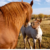 Behavior 102 For Animal Sanctuaries: Communication - The Open Sanctuary ...
