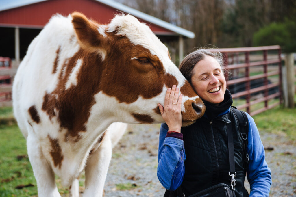 A woman leans into the face of a cow as the cow nuzzles her neck. The brown and white cow's eyes are slightly closed. The woman is smiling and wearing a long sleeve blue shirt with a black vest. In the background, there is a red barn, a gate, and grass.