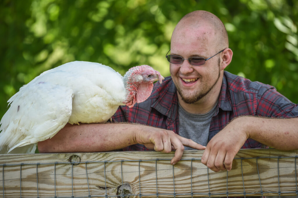 A young turkey enjoys the company of a staff member at Farm Sanctuary. The turkey is perching on top of a fence as the staff member leans against it and smiles.