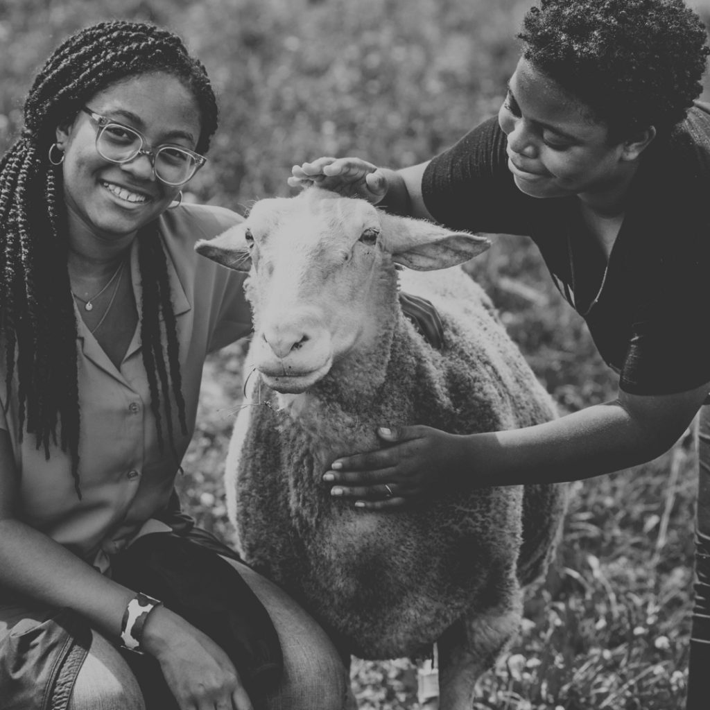 A black and white photo of two children who are standing on either side of a sheep. The child on the left is smiling and looking towards the camera as they lay their hand on top of the sheep's back. The child on the right is smiling and looking at the sheep's face while patting the sheep's head and chest. The sheep is looking towards the camera with their ears pinned back.