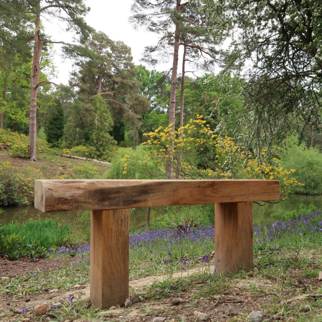 A photo of a wooden bench. There are trees as well purple flowers in the background.