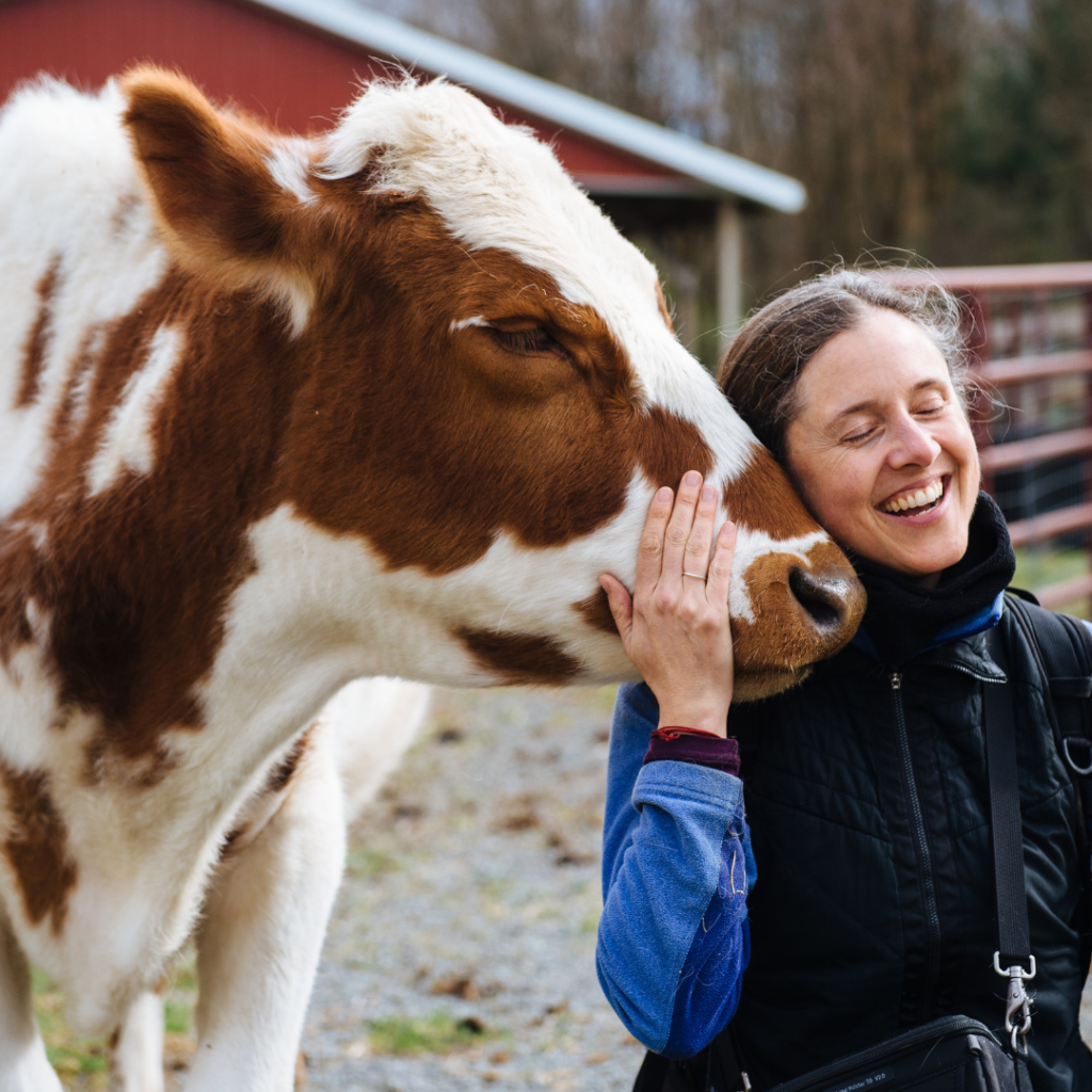 A photo of photographer Jo-Anne McArthur and a brown and white cow. The brown and white cow is touching the side of Jo-Anne's face with the side of their head. Jo-Anne is embracing the cow's head with her right hand.