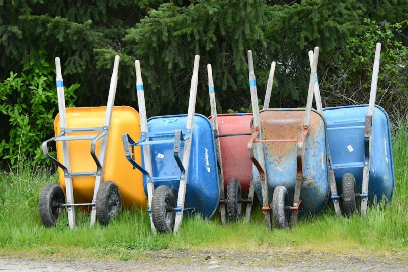 A row of five wheelbarrows propped upright in the grass.