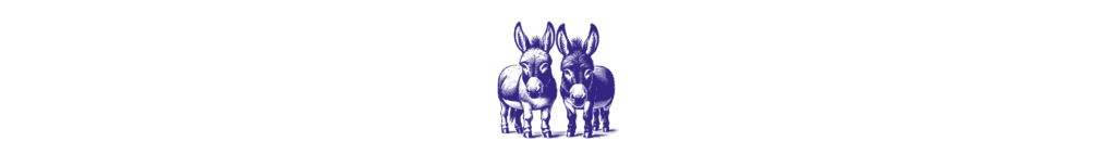 A graphic of two mini-donkeys standing with your heads together.