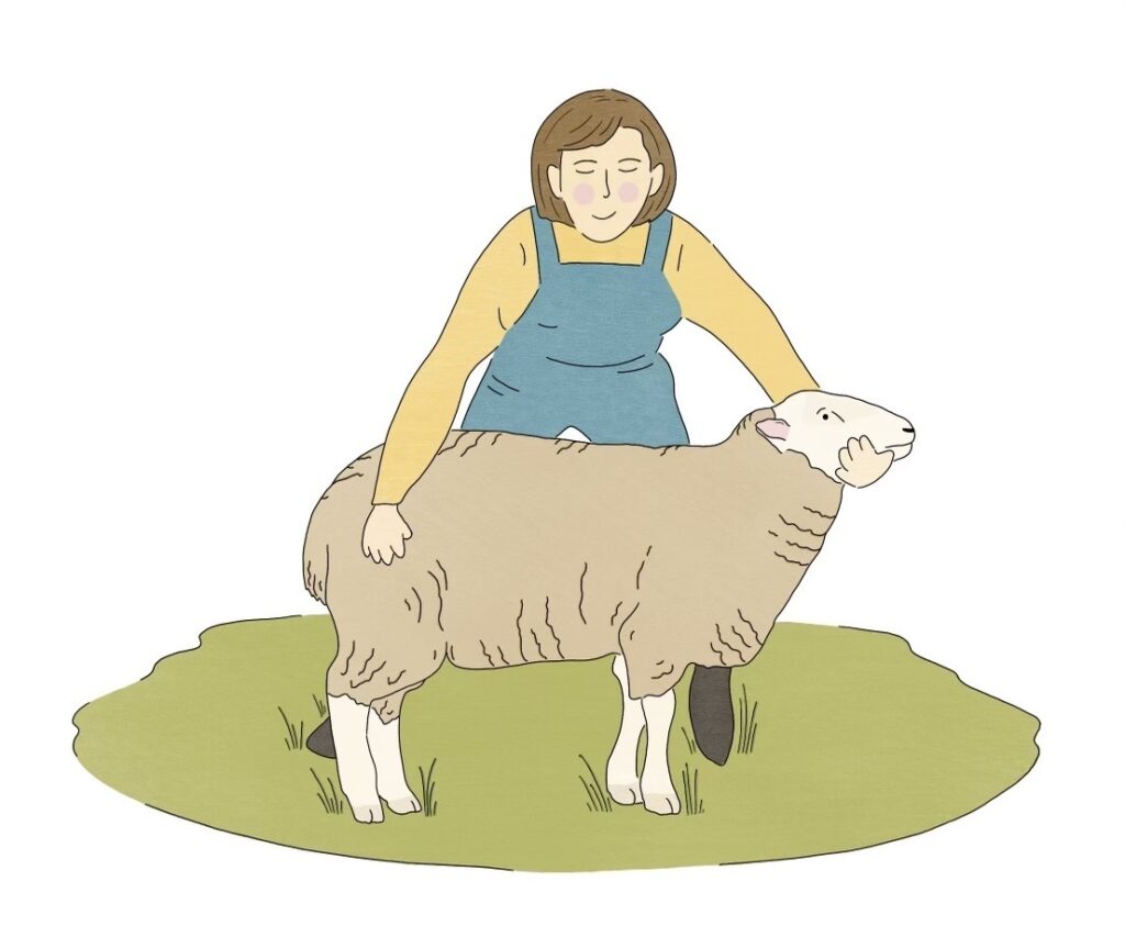 A caregiver holds a sheep in place by placing one hand under their chin and holding their chin parallel to the ground. Their other hand is placed on their rear.