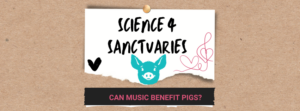 A cardboard background with a white note pinned on the front reads "Science For Sanctuaries: Can Music Benefit Pigs". There is the cartoon face of a turquoise pig and an illustration of a pink musical note and heart.