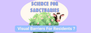 A lilac background has a header that reads: Science For Sanctuaries: Visual Barriers For Residents?". A light and dark green bush with pink flowers has a sweet black and white calf with a cute pink nose.