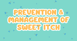 A teal background has the shadow of a horse graphic and small blue and yello midges upon it. In the center are the words "Prevention And Management Of Sweet Itch" in light orange lettering outlined with white.