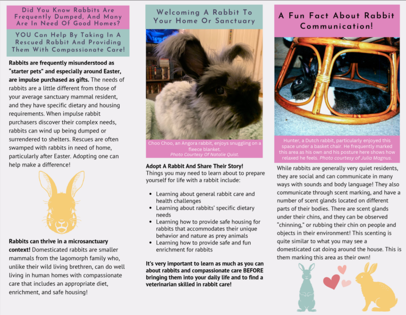 Create Rabbit Using Brochure The Open Sanctuary Project's