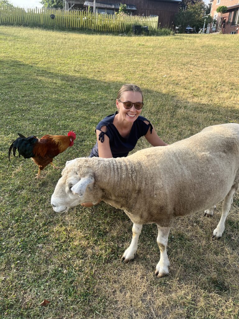 A woman squats next to a sheep, smiling, and rubbing him. A rooster is walking behind her. 