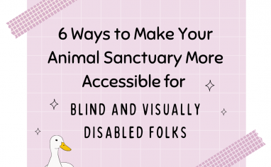 This is a graphic. There is a light purple square in the background. In front of the square is black text that says six ways to make your animal sanctuary more accessible for blind and visually disabled folks. There is an illustration of a white duck in the bottom left corner of the square. There is also two pieces of darker purple illustrated tape in the top left corner of the square and the bottom left corner of the square.
