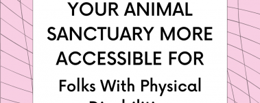 A white text box that says "six ways to make your animal sanctuary more accessible for folks with physical disabilities". There is a light pink background behind the text box, a purple cloud in the bottom left corner of the graphic, and a green frog holding a pink heart in the bottom right corner of the graphic.