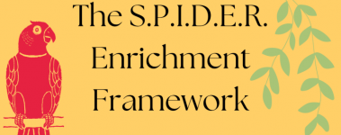 A red parrot sits on a branch against a bright yellow background with light green leaves trailing down. The words "The S.P.I.D.E.R. Enrichment Framework" are written across the background.